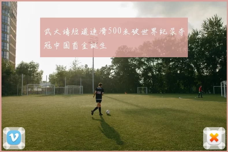 武大靖短道速滑500米破世界纪录夺冠中国首金诞生