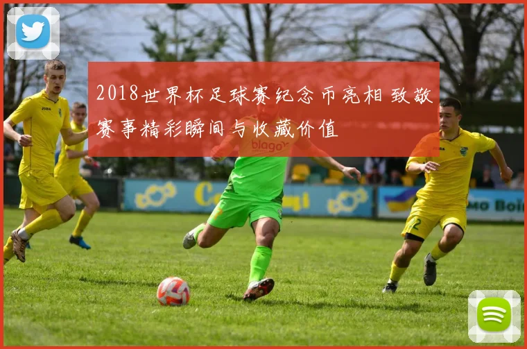 2018世界杯足球赛纪念币亮相 致敬赛事精彩瞬间与收藏价值